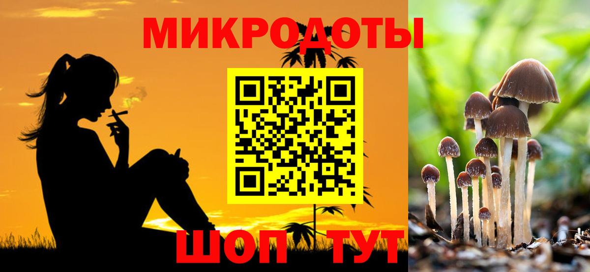 Галлюциногенные грибы Cubensis Чехов